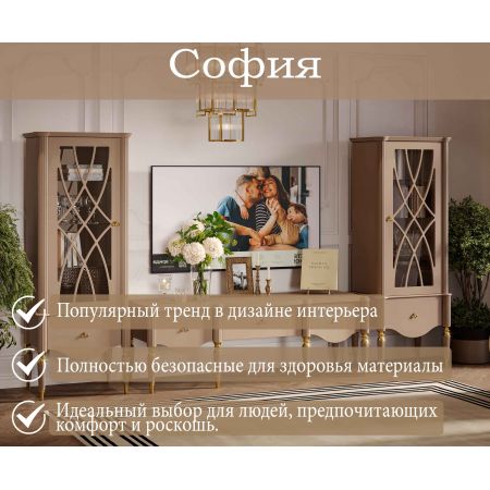 Гостиная София Беж